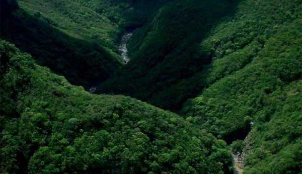 Reserva biosfera
