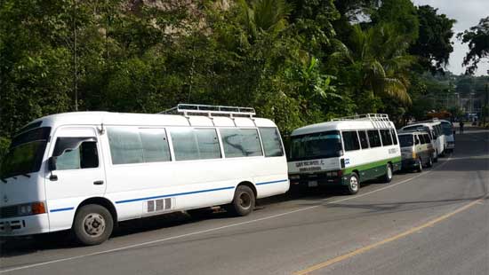 paro buses