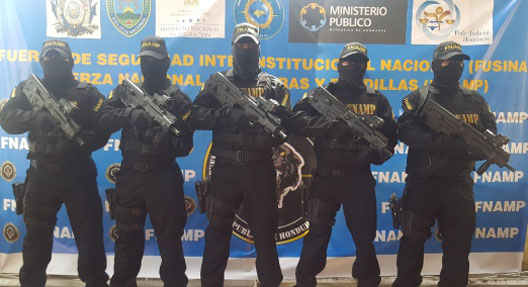 FNPAP