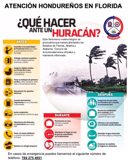 afiche
