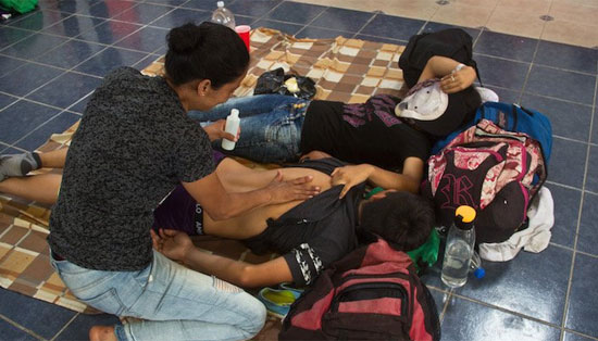 migrantes desp