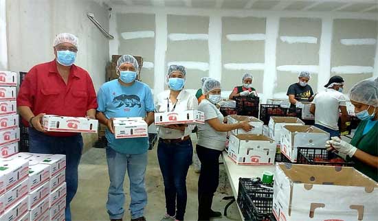 productores