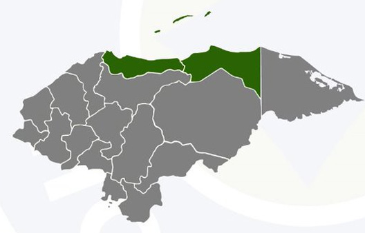 alerta