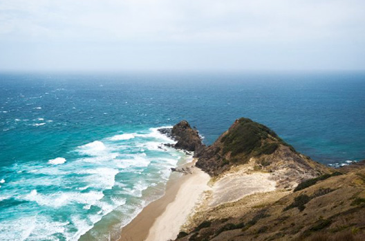 nueva zelanda