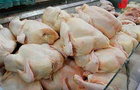 Productores avícolas exportarán más de seis millones de libras de carne de pollo