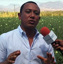 Productor de Okra Naamam