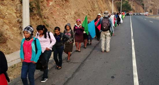 indigenas
