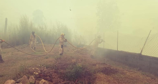 incendio 123