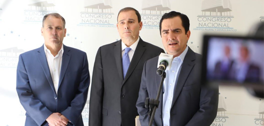diputado mario P