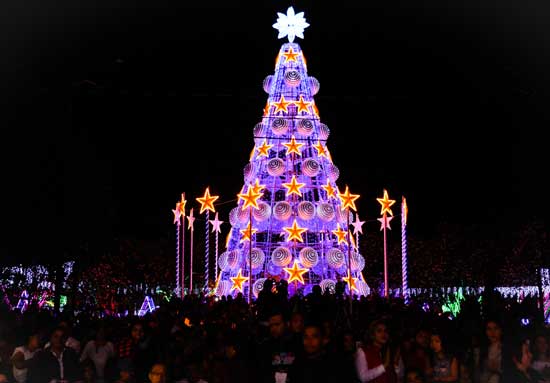 arbol tegus