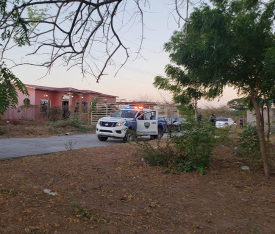 operativo porkis 2 pd