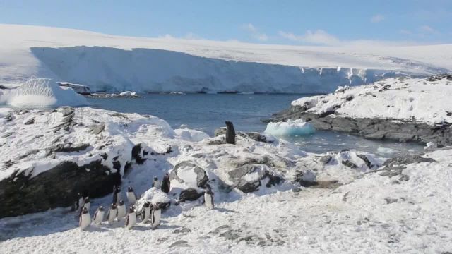 «Antártica Audible», un viaje sonoro por el enigmático continente blanco