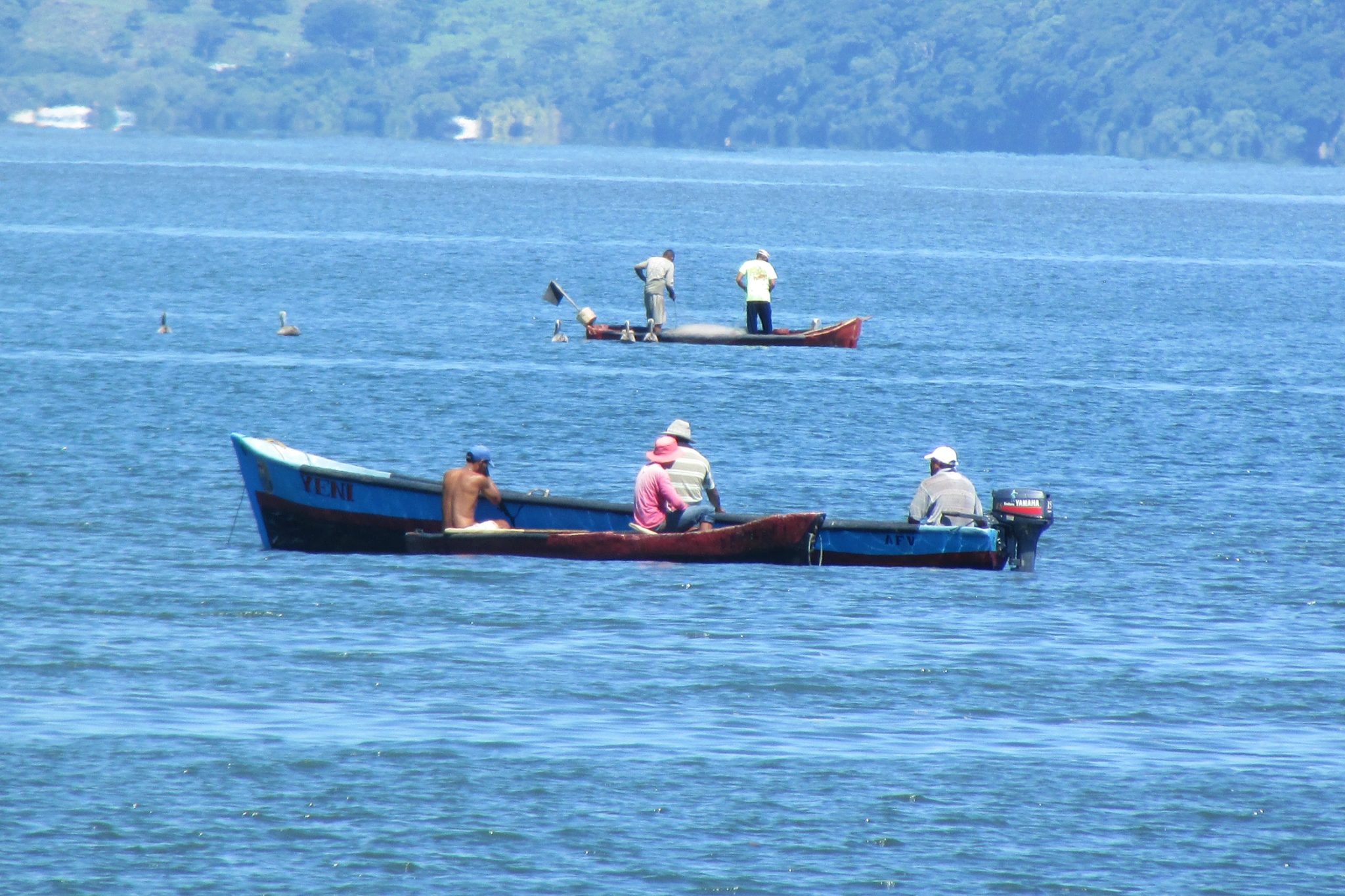 Pescadores artesanales hondureños en golfo de Fonseca piden protección ...