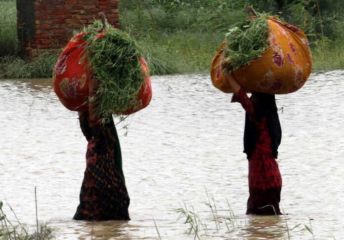 Más De 800 Muertos Por Lluvias Monzónicas Proceso Digital