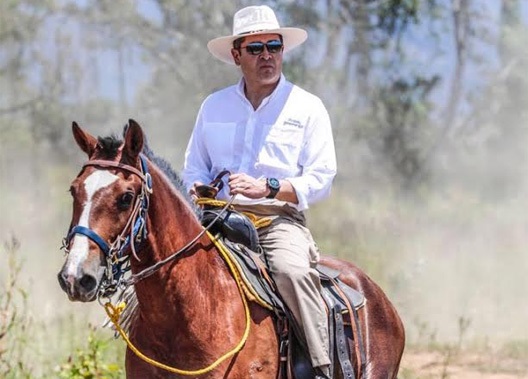 A subasta 15 caballos incautados al expresidente Hernández, anuncia OABI | Proceso Digital