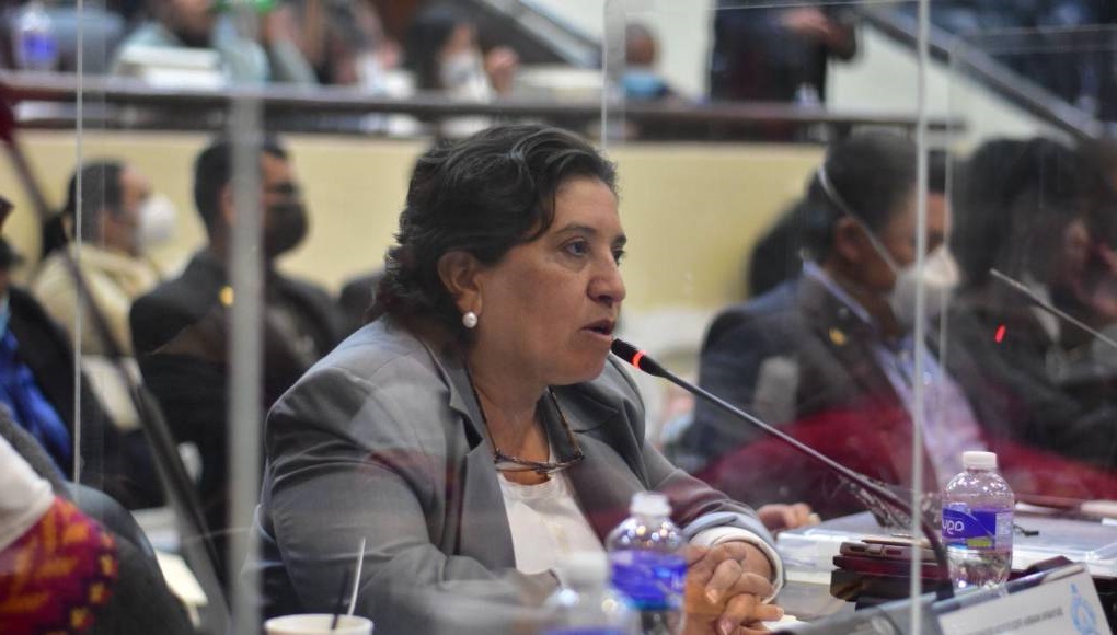 Denuncian despidos de asistentes del Partido Salvador de Honduras en el CN