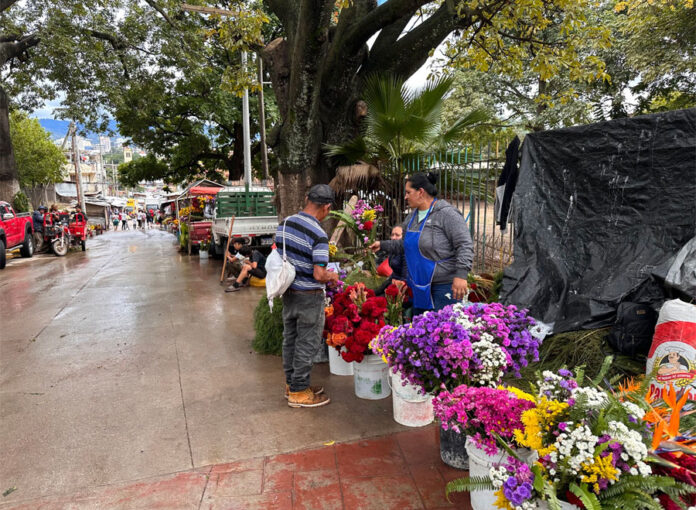 Cementerio-General-venta-de-flores-Dia-de-los-Muertos