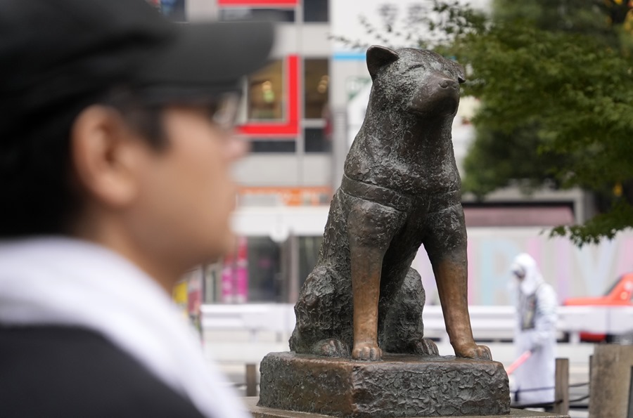 Hachiko 100 años esperando a su dueño en la estación de tren de