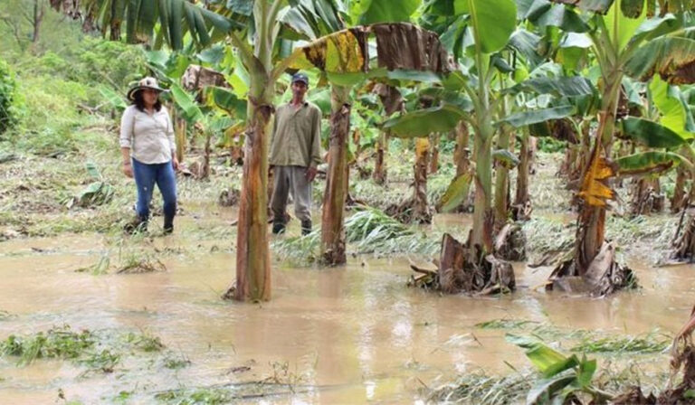 Angustioso llamado de edil de Santa Rosa de Aguán por lluvias que los