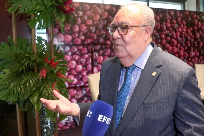 Latinoamérica y África buscan extender un año más Reglamento de la UE sobre Deforestación