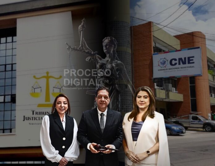 magistrados TJE, CNE 1